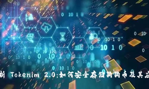 全面解析 Tokenim 2.0：如何安全存储狗狗币及其应用价值