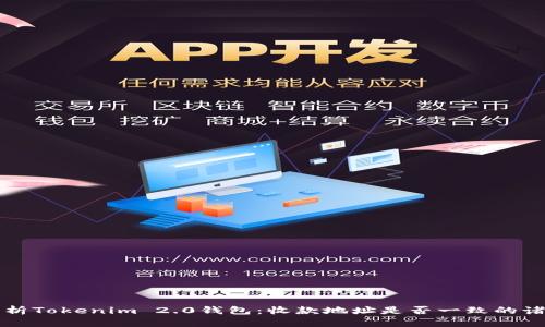 深入解析Tokenim 2.0钱包：收款地址是否一致的诸多疑问