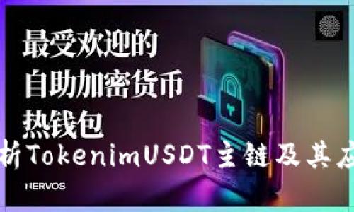 深入解析TokenimUSDT主链及其应用前景