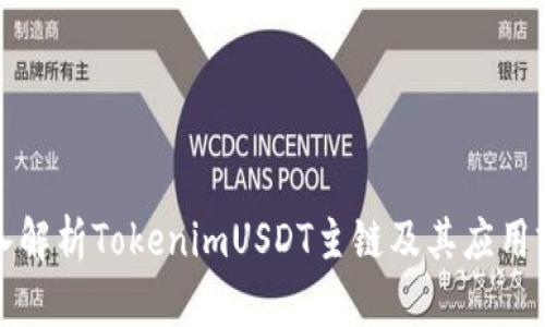深入解析TokenimUSDT主链及其应用前景