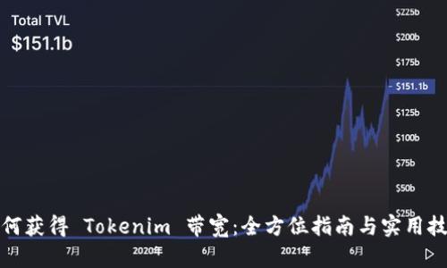 如何获得 Tokenim 带宽：全方位指南与实用技巧