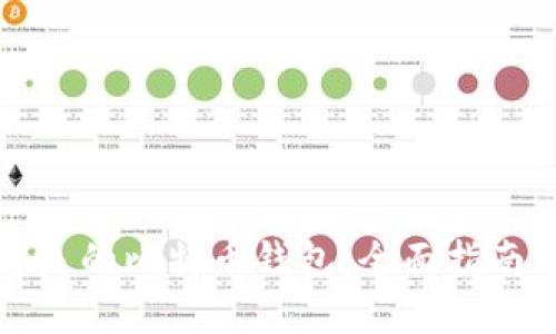 如何找回丢失的比特币钱包：全面指南与实用技巧
