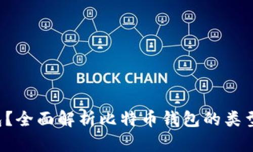 什么是比特币钱包？全面解析比特币钱包的类型、功能及使用技巧