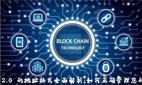 
TokenIM 2.0 的地址格式全面解析：如何正确管理您的数字资产