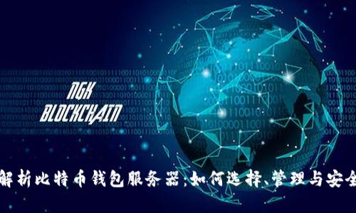 全面解析比特币钱包服务器：如何选择、管理与安全方案
