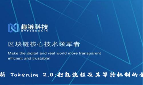 深入解析 Tokenim 2.0：打包流程及其等待机制的全面指南