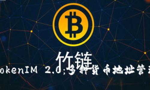 深入探讨TokenIM 2.0：多种货币地址管理及其优势