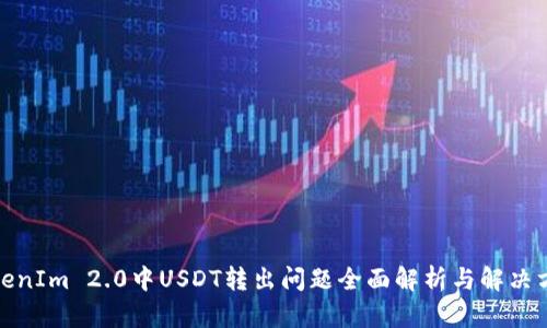 TokenIm 2.0中USDT转出问题全面解析与解决方案