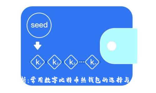 全面解析：常用数字比特币热钱包的选择与使用指南