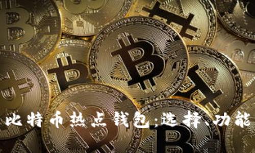 全面解析比特币热点钱包：选择、功能与安全性