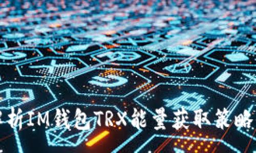 :
全面解析IM钱包TRX能量获取策略与技巧