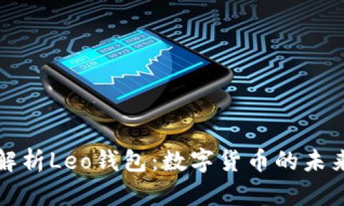 全面解析Leo钱包：数字货币的未来之钥