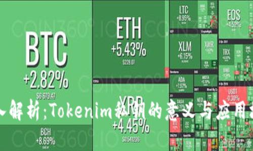 深入解析：Tokenim私钥的意义与应用场景
