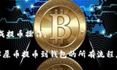    如何安全地将屎币（SHIB）提币到钱包：完整指