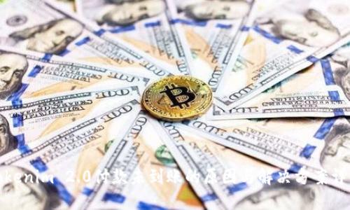 Tokenim 2.0付款未到账的原因与解决方案详解