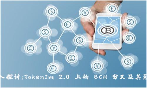 深入探讨：TokenIm 2.0 上的 BCH 分叉及其影响