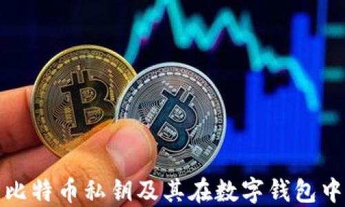 
深入了解比特币私钥及其在数字钱包中的重要性
