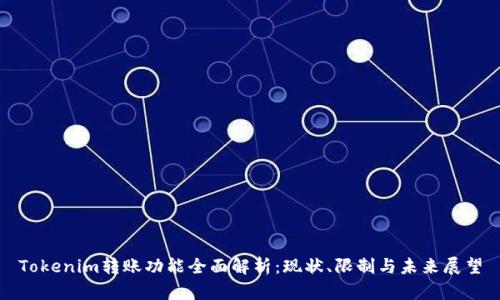 Tokenim转账功能全面解析：现状、限制与未来展望